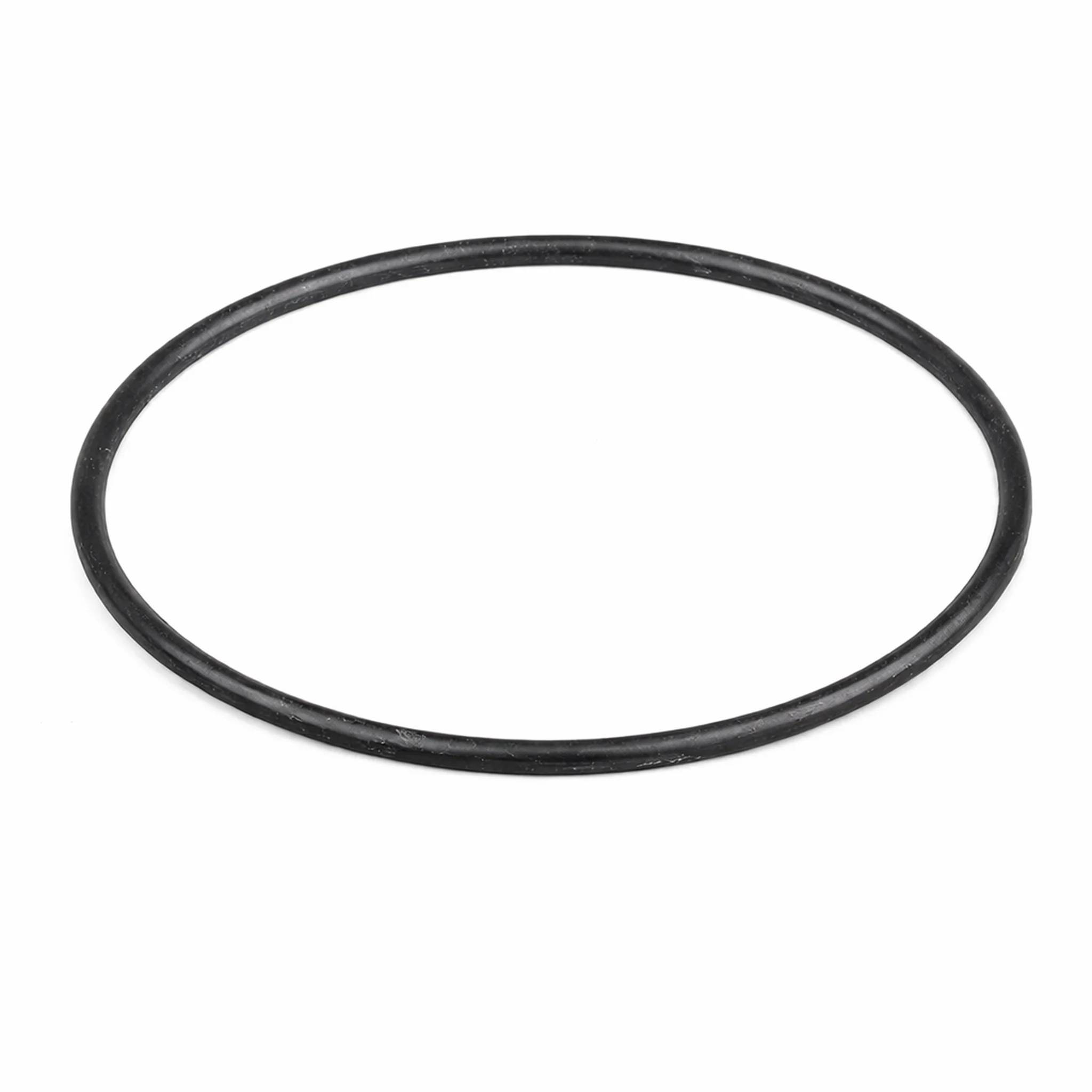 Schwarze Gummi-O-Ring-Dichtung auf weißem Hintergrund.