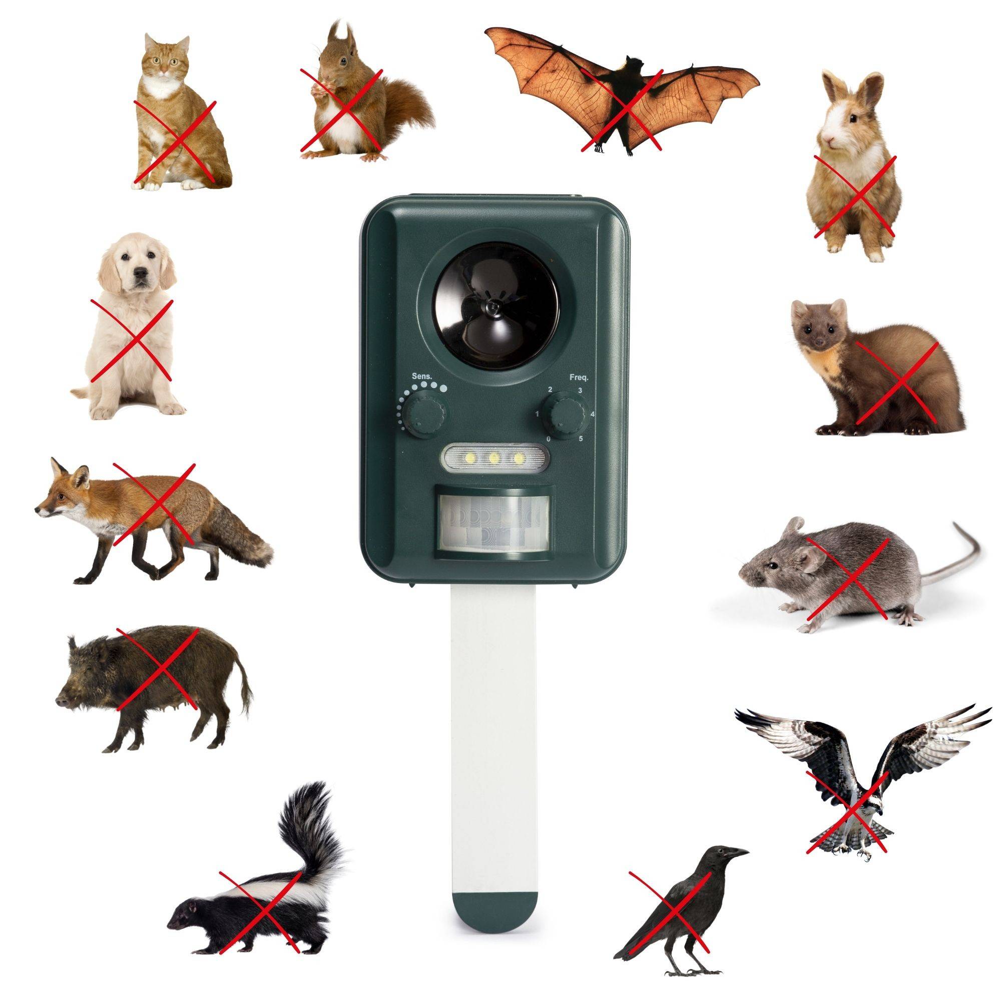 Ein Gerät zur Tierabwehr mit Bildern von Tieren wie Katzen, Fledermäusen, Kaninchen und Vögeln, die durchgestrichen sind und anzeigen, dass sie abgelenkt werden können.