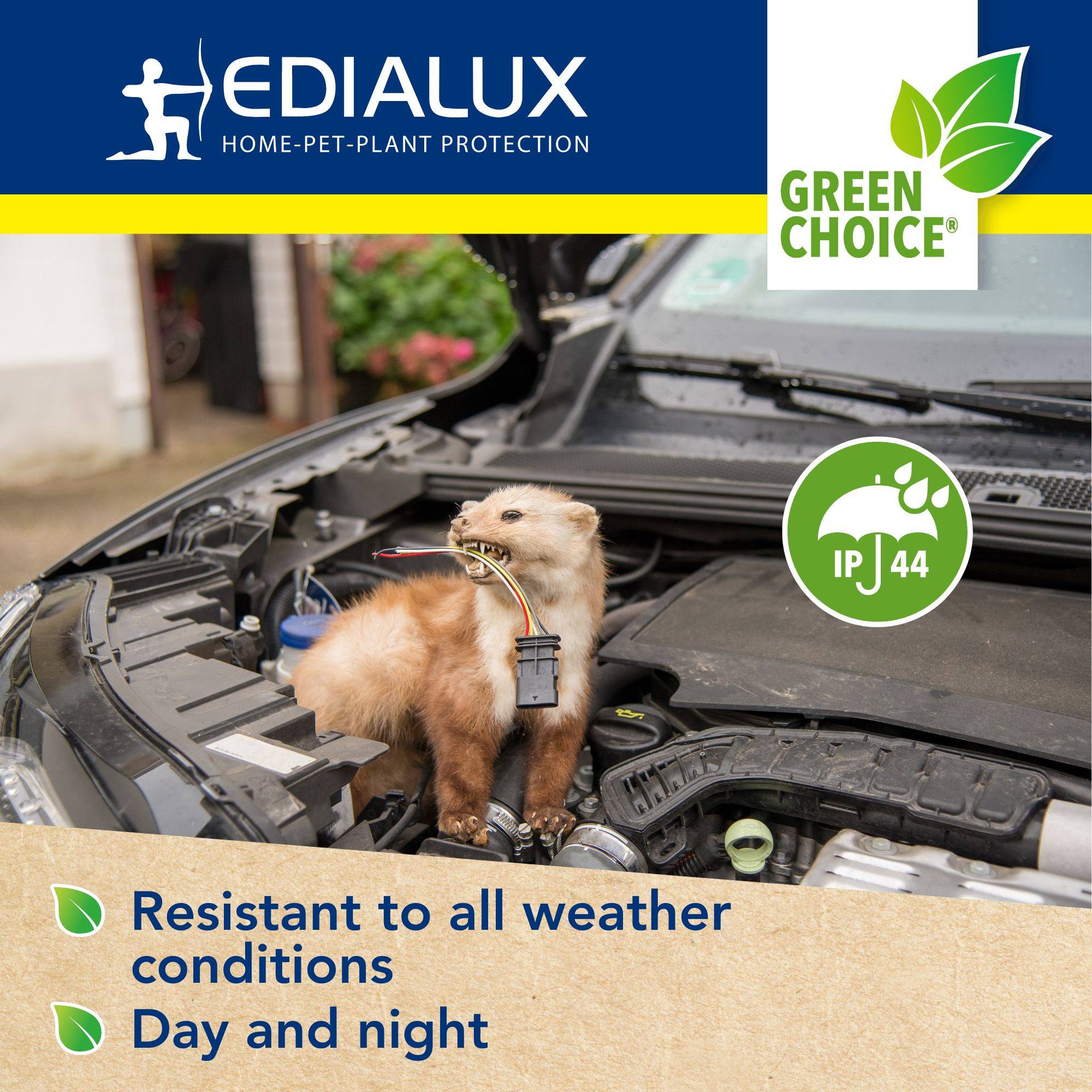 Werbebild von Edialux Heimtierschutz für Pflanzen, das einen Marder unter einer Motorhaube zeigt, mit 