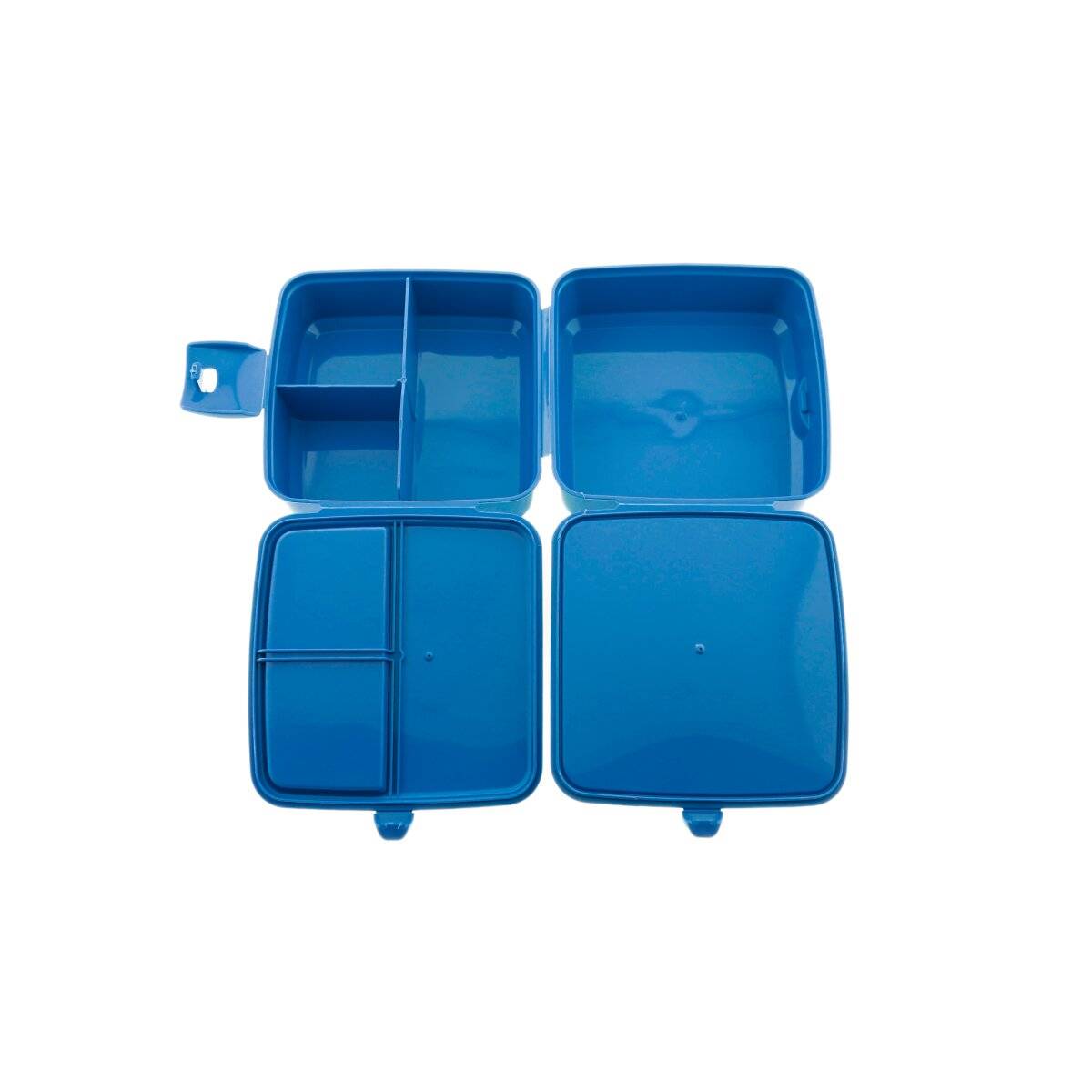 Offene blaue Lunchbox mit mehreren Fächern, einschließlich zwei großer Abschnitte und zwei kleinerer, auf weißem Hintergrund.