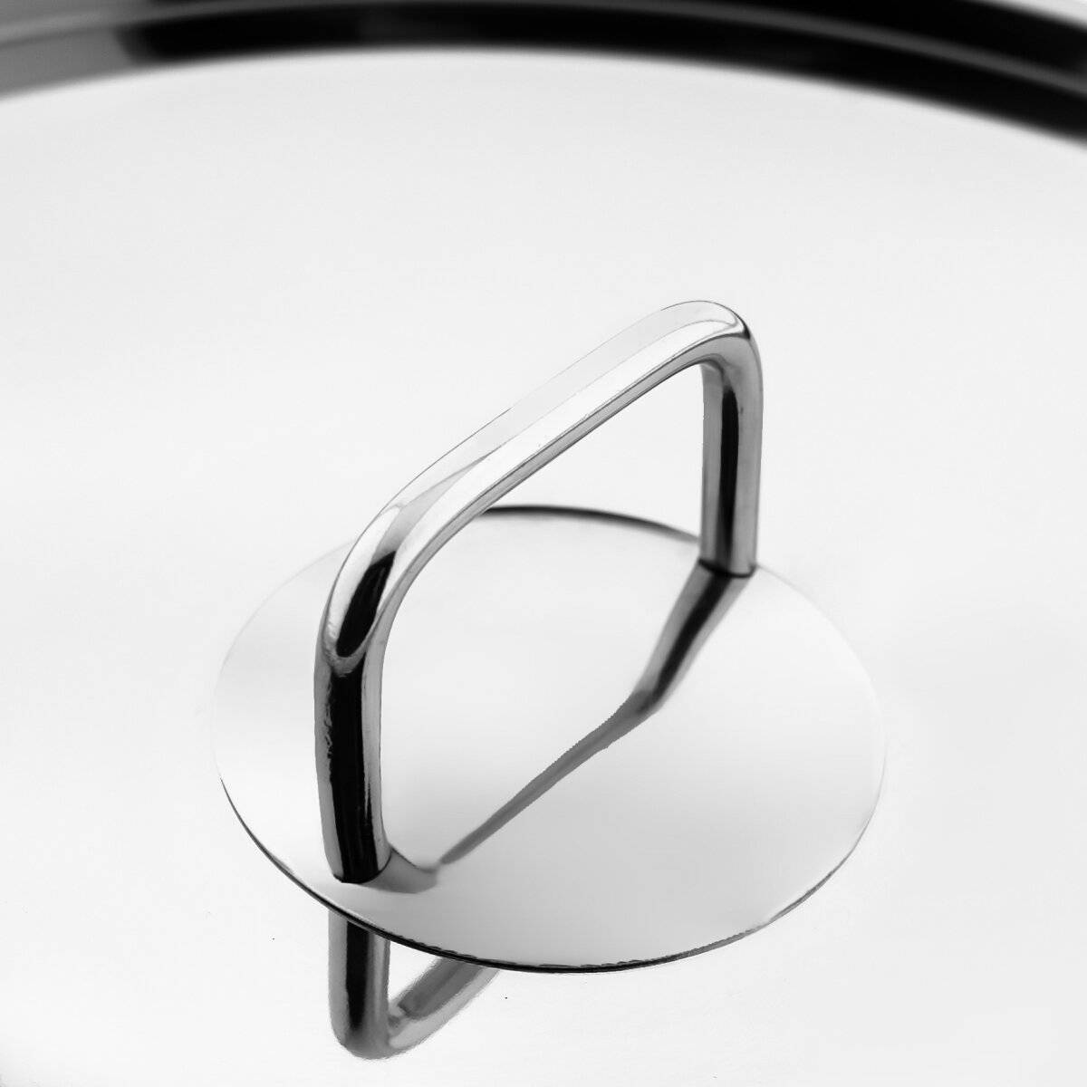 Vitalia XXL Edelstahl-Kochtopf mit Deckel - Silber, Induktionsgeeignet 16 L