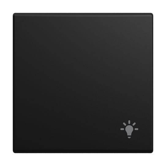 2520 LI-915 Wippe Symbol Licht