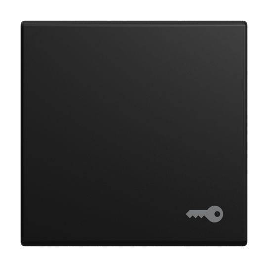 2520 TR-915 Wippe Symbol Schlüssel