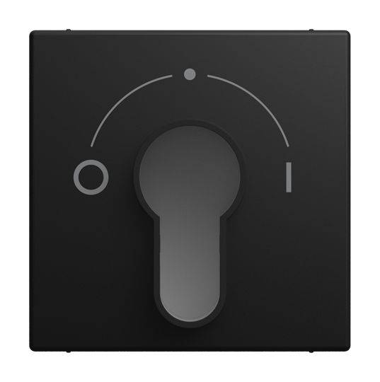 2557 SLPZ-915-101 Zentralscheibe 0-1