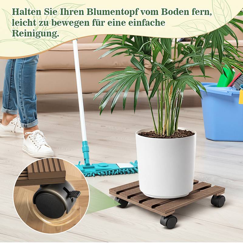 Eine Topfpflanze auf einer Plattform mit Rollen für einfaches Reinigen, mit einer Person, die in der Nähe wischt. Der Text empfiehlt, Pflanzen vom Boden fernzuhalten.