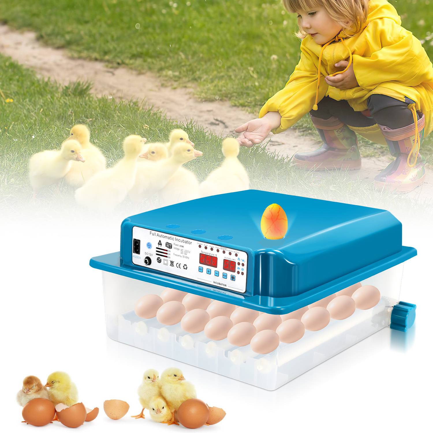 Ein Kind in einer gelben Jacke interagiert mit Entenküken auf einer Wiese. Das Einschubfenster zeigt einen Brutapparat mit Eiern und Küken und veranschaulicht das Schlüpfen.