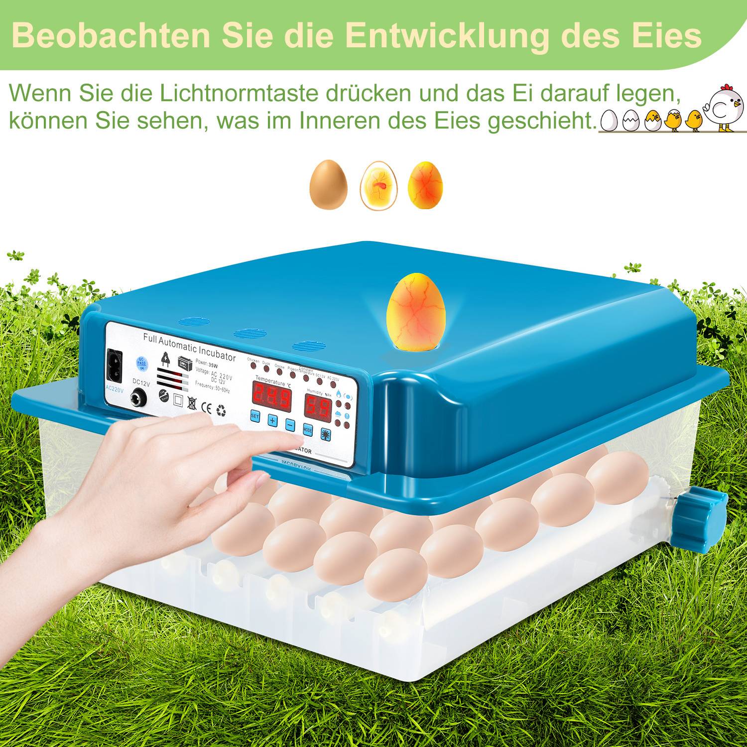 36 Egg Fully Automatic Incubator – Egg Turner, Precise Temperature & Humidity Control, LED Candling Light