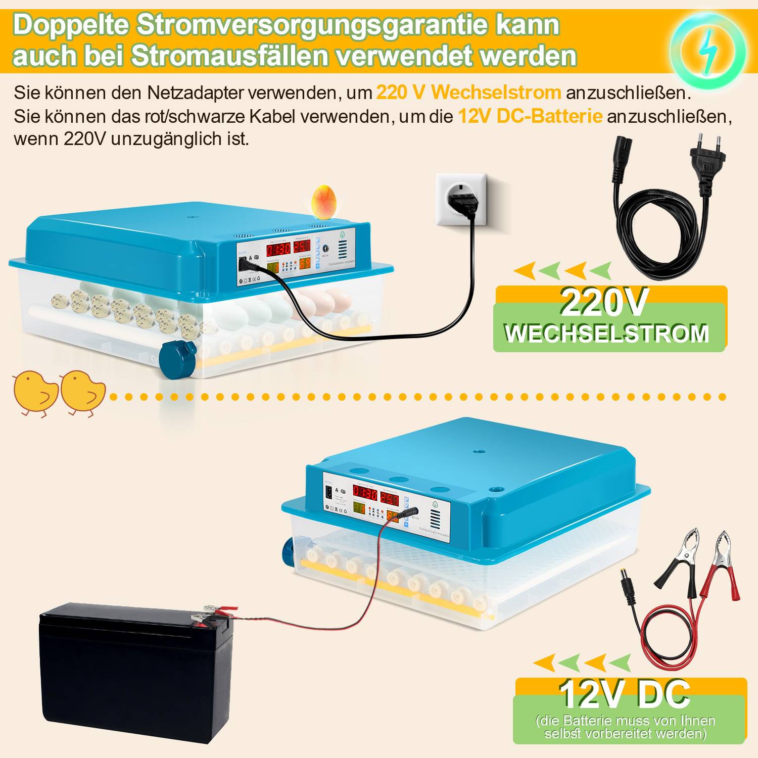 Brutkasten mit dualer Stromversorgungsoption: 220V AC und 12V DC. Zeigt Verbindungskabel und Beschreibungen in deutscher Sprache.