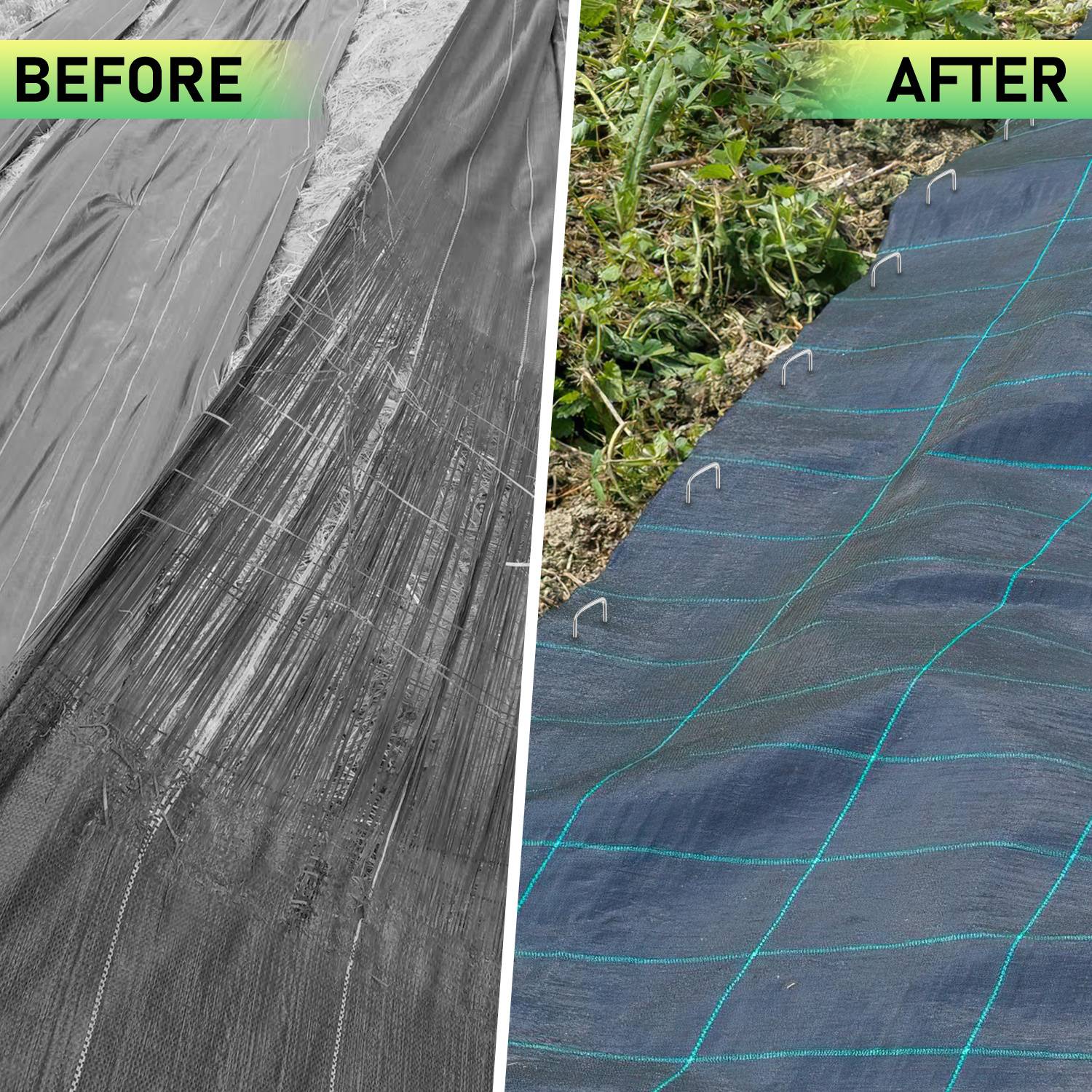 Das Bild ist in zwei Abschnitte unterteilt, die mit „VORHER