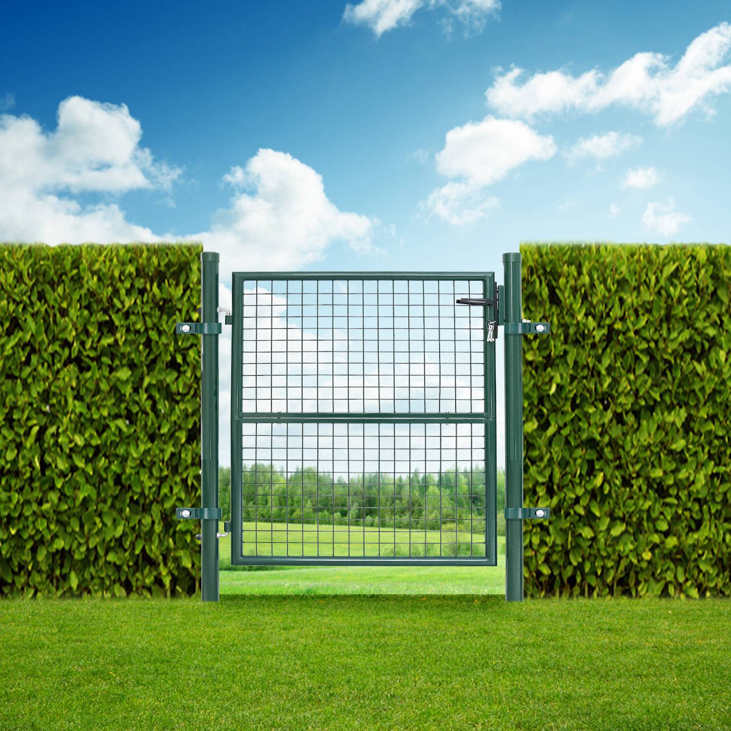 Ein Drahttor steht offen zwischen zwei hohen grünen Hecken und gibt den Blick auf ein helles Grasfeld und einen klaren blauen Himmel mit zerstreuten Wolken frei.