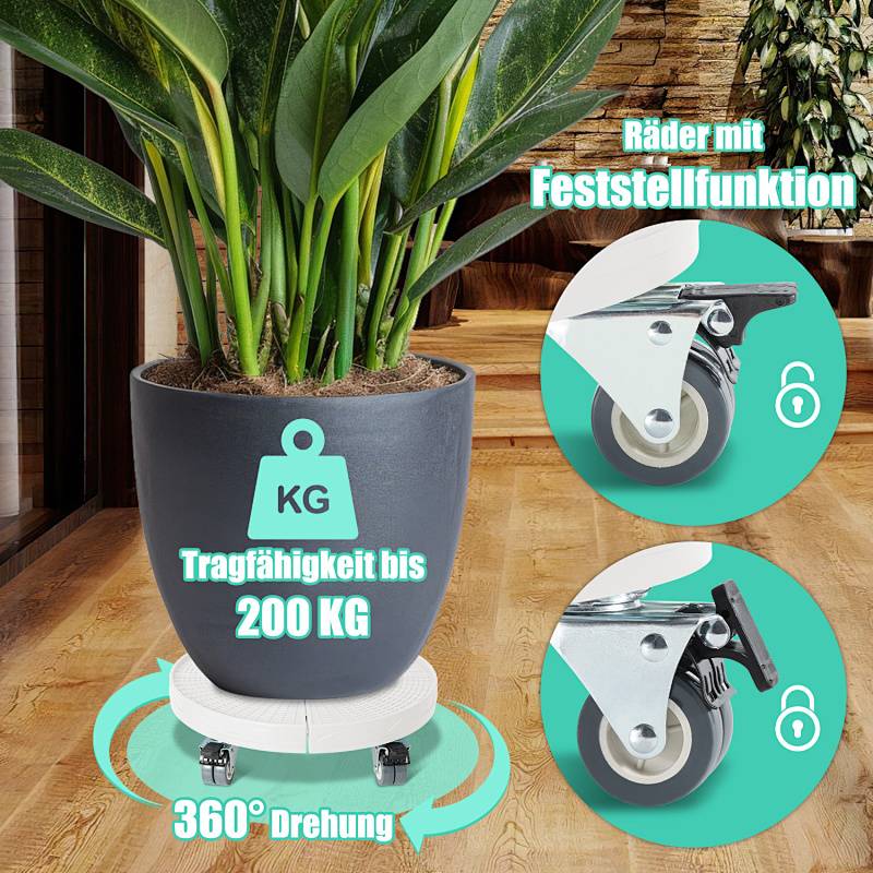 Ein großer Topfpflanze auf einem Holzboden mit Fokus auf einer fahrbaren Basis. Der Text hebt hervor, dass die Basis bis zu 200 kg trägt und sich um 360 Grad dreht.