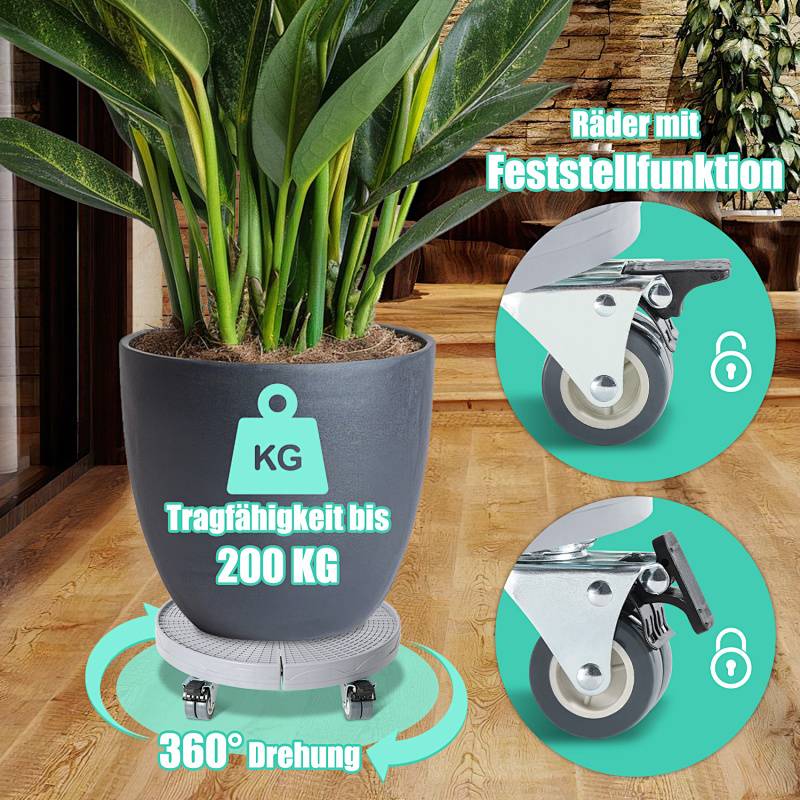Eine Topfpflanze auf einem fahrbaren Wagen mit hervorgehobenen Funktionen: 'Tragfähigkeit bis 200 KG', '360° Drehung', 'Räder mit Feststellfunktion'.