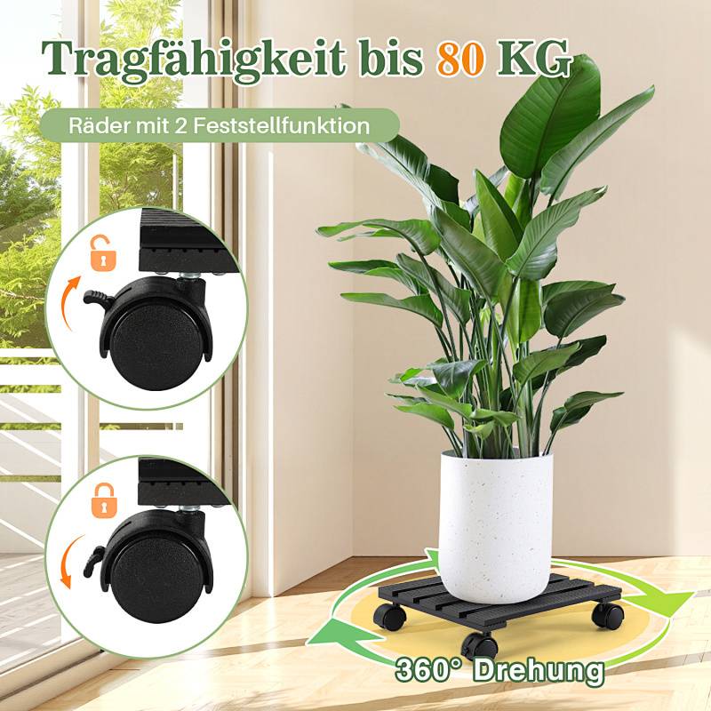 Ein Topfpflanze auf einem fahrbaren Untergestell in einer Raumecke. Text: 'Tragfähigkeit bis 80 kg', 'Räder mit 2 Feststellfunktionen', '360° Drehung'.