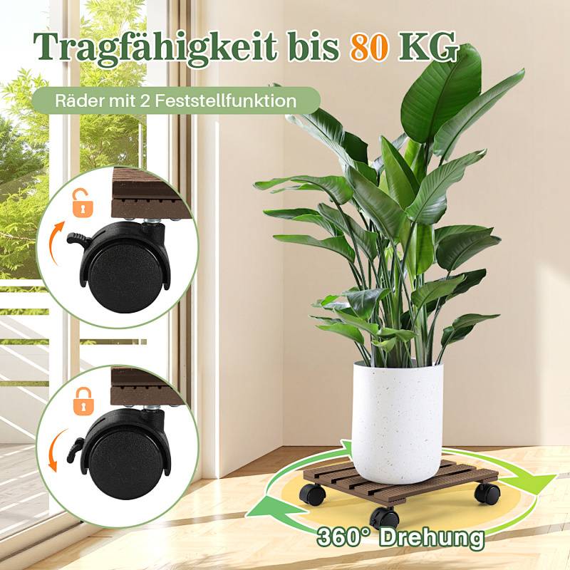 Eine grüne Pflanze in einem weißen Topf auf einem Holzwagen mit Rädern. Der Text lautet „Tragfähigkeit bis 80 KG