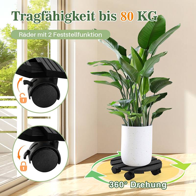 „Tragfähigkeit bis 80 KG