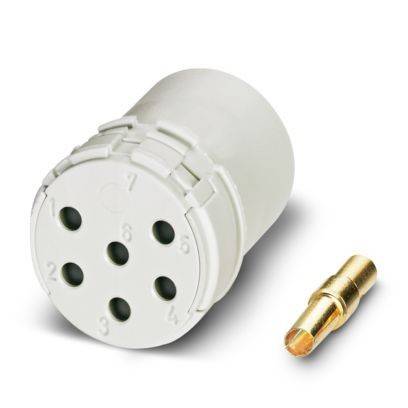 Ein weißer Kunststoff-Elektrostecker mit sechs nummerierten Löchern für Verdrahtungsverbindungen, positioniert neben einem einzelnen goldenen Metallstift.