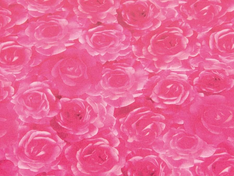 Ein Muster aus dicht angeordneten rosa Rosen, das einen lebendigen Blumenhintergrund schafft.