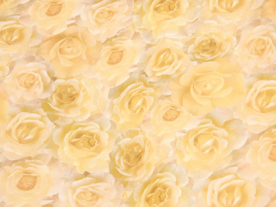 Eine Nahaufnahme einer dichten Ansammlung von blassgelben Rosen in voller Blüte, die Schichten von Blütenblättern zeigt.