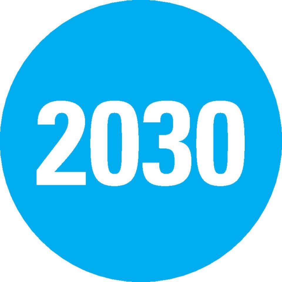 Prüfplakette 2030,für Prüfnachweise,hellblau,Dokumentenfolie,Ø20mm,36/Bogen