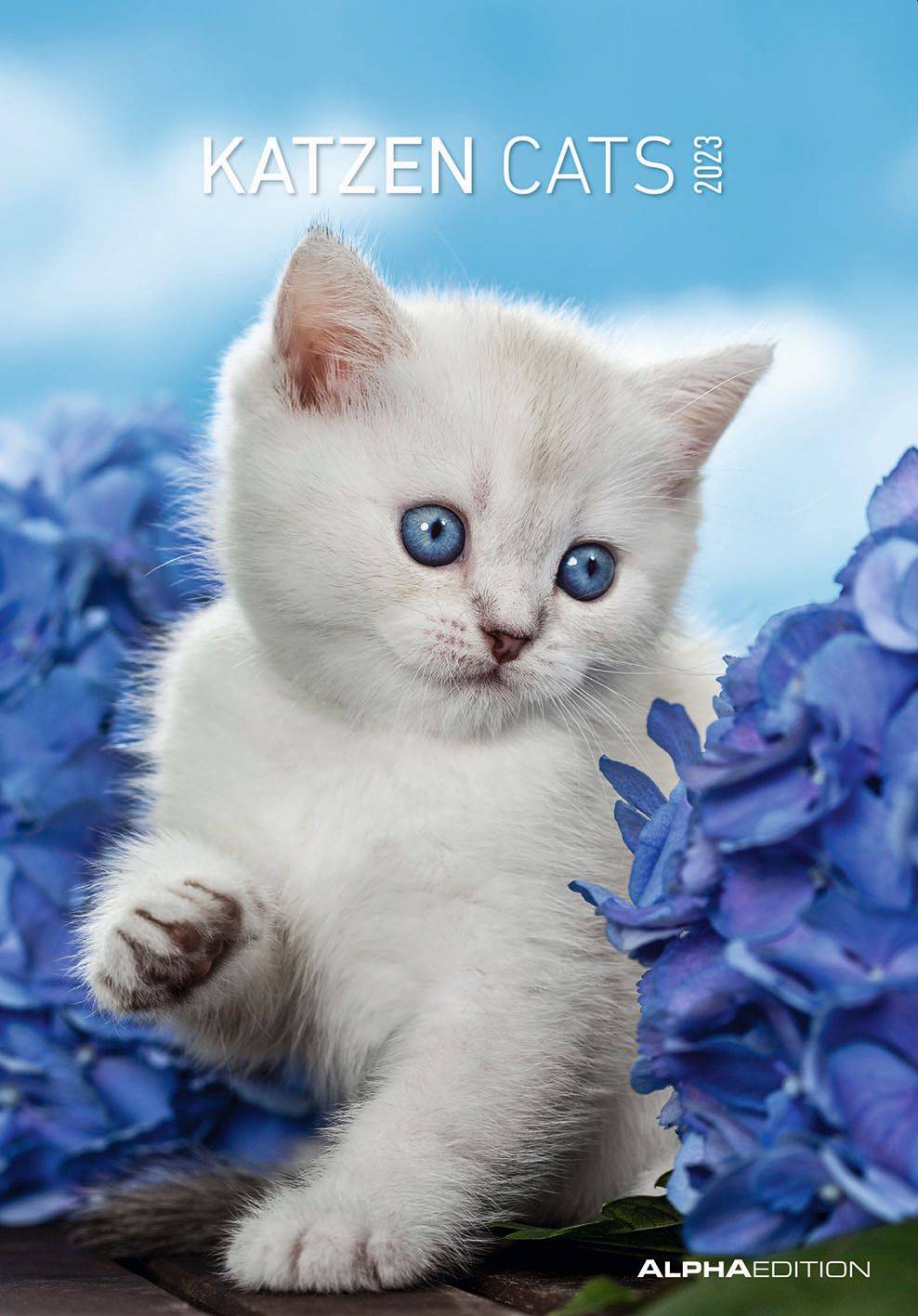 Ein flauschiges weißes Kätzchen mit beeindruckenden blauen Augen sitzt zwischen leuchtend blauen Hortensiablüten vor einem weichen blauen Himmel.