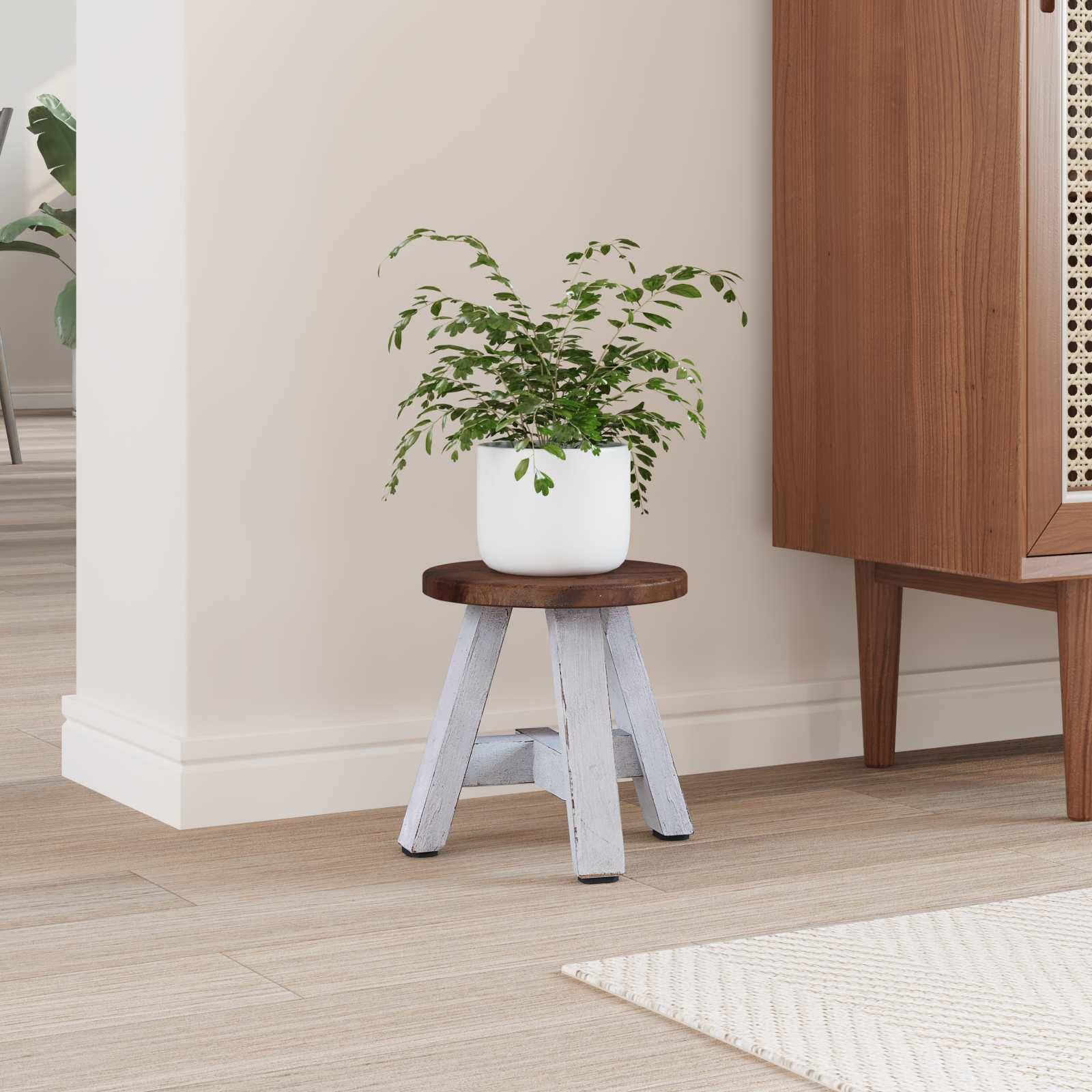 Eine Topfpflanze mit grünen Blättern steht auf einem Holzhocker neben einem Schrank in einem Zimmer mit hellem Holzfußboden und weißen Wänden.