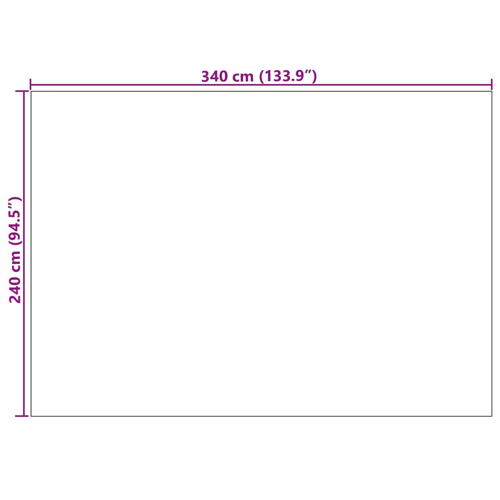 vidaXL Bereichsteppiche Rechtwinklig AGIRA Natur 340 x 240 cm