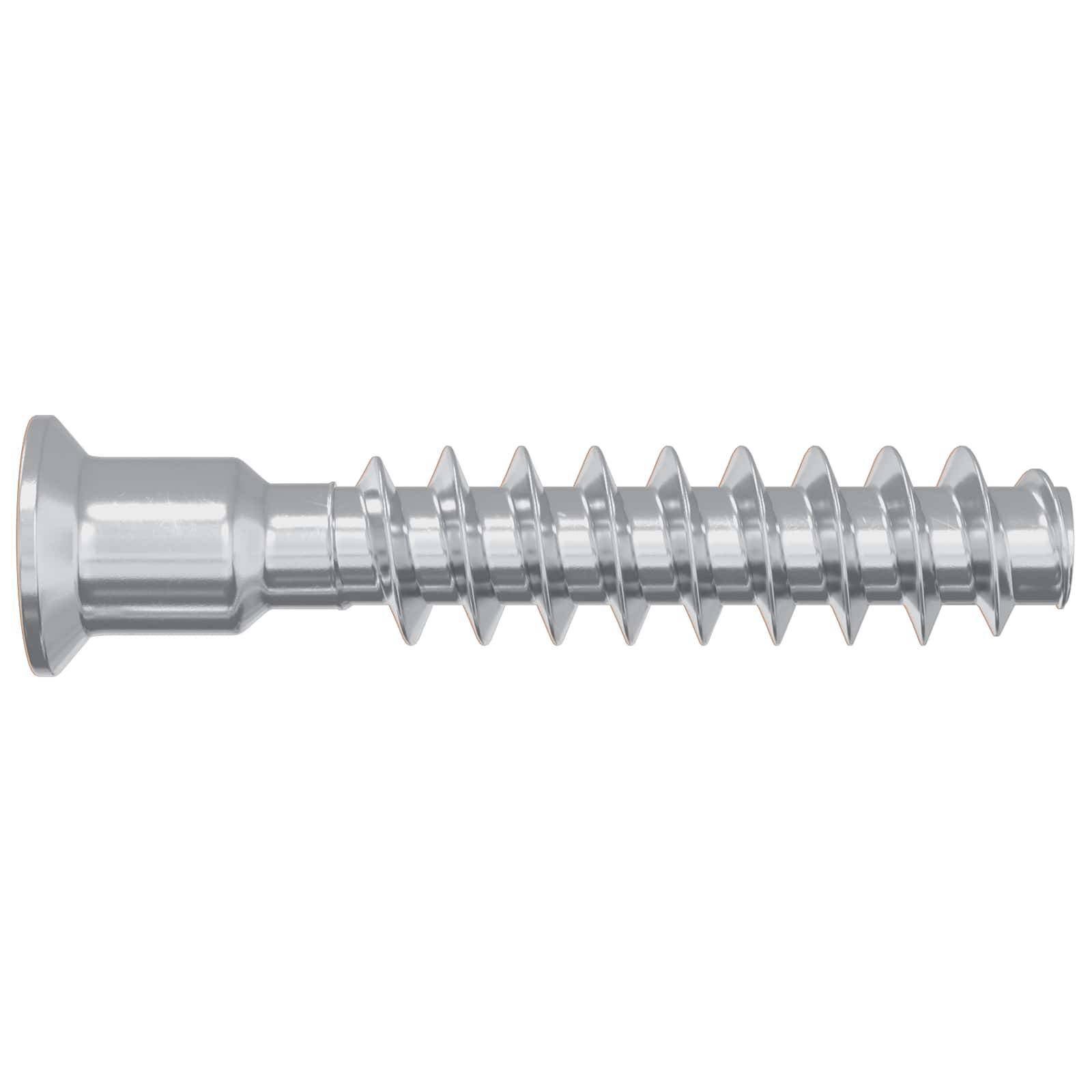 vidaXL Kopfschraube 2900 pcs Silber Stahl