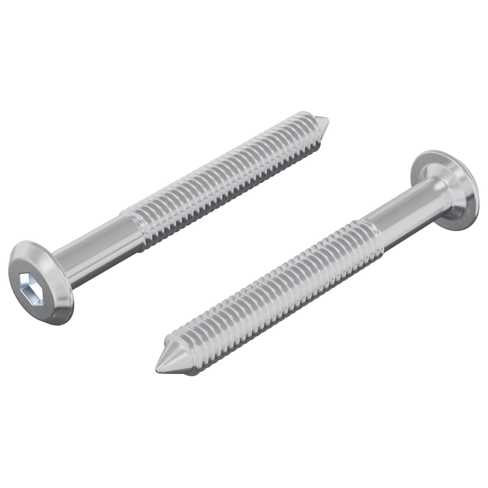 Zwei metallische Schrauben mit Sechskanthohlköpfen und gewindeligen Schäften parallel angeordnet, eine aufrecht und die andere nach rechts zeigend.