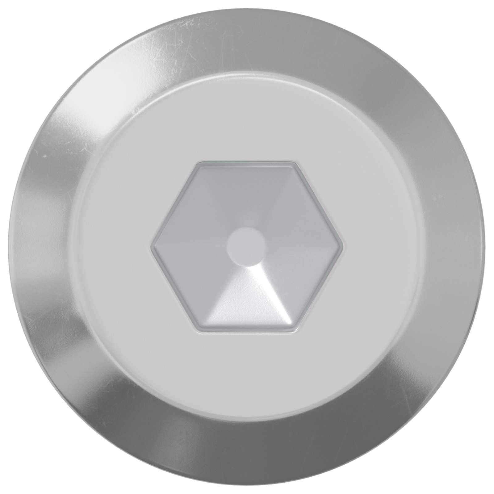 vidaXL Schraube 2 pcs Silber M6 x 100 mm Stahl