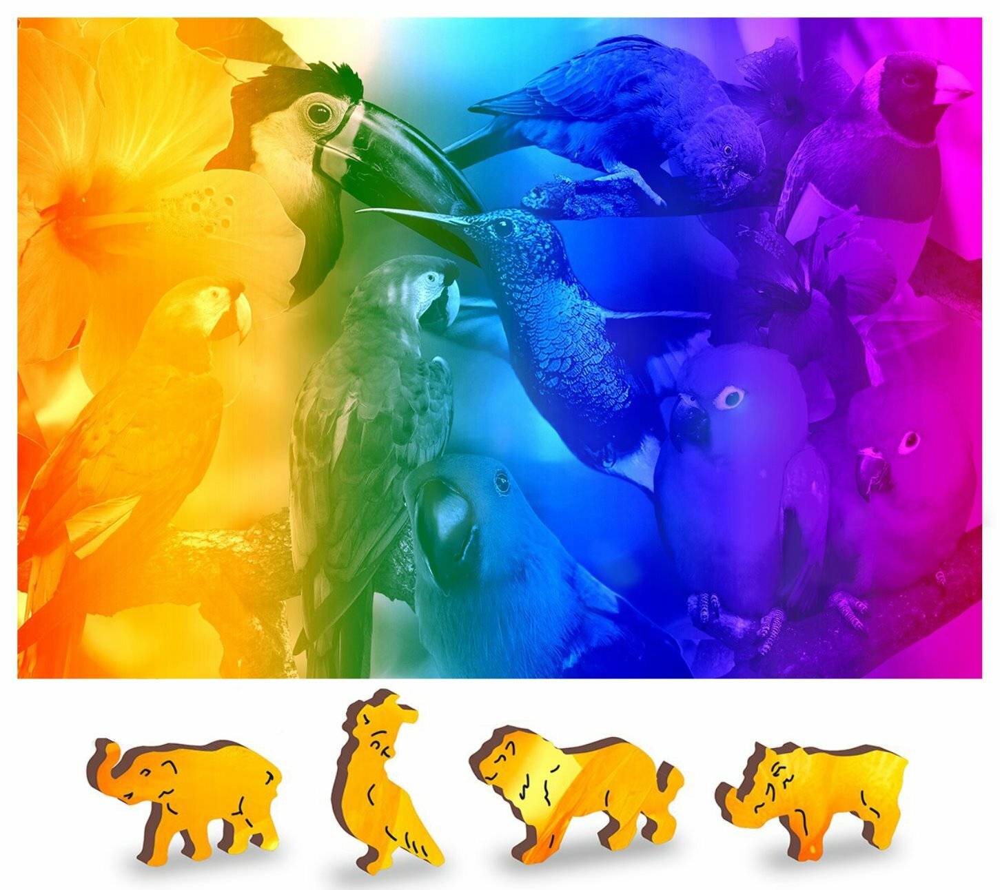 Ein lebendiges Mosaik aus verschiedenen Vögeln, darunter Tukan, Sittich und Papageien in Regenbogenfarben; Silhouetten von Safaritieren darunter.