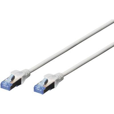 Ethernet-Kabel mit zwei transparenten Steckverbindern an jedem Ende, entwickelt für Netzwerkverbindungen.