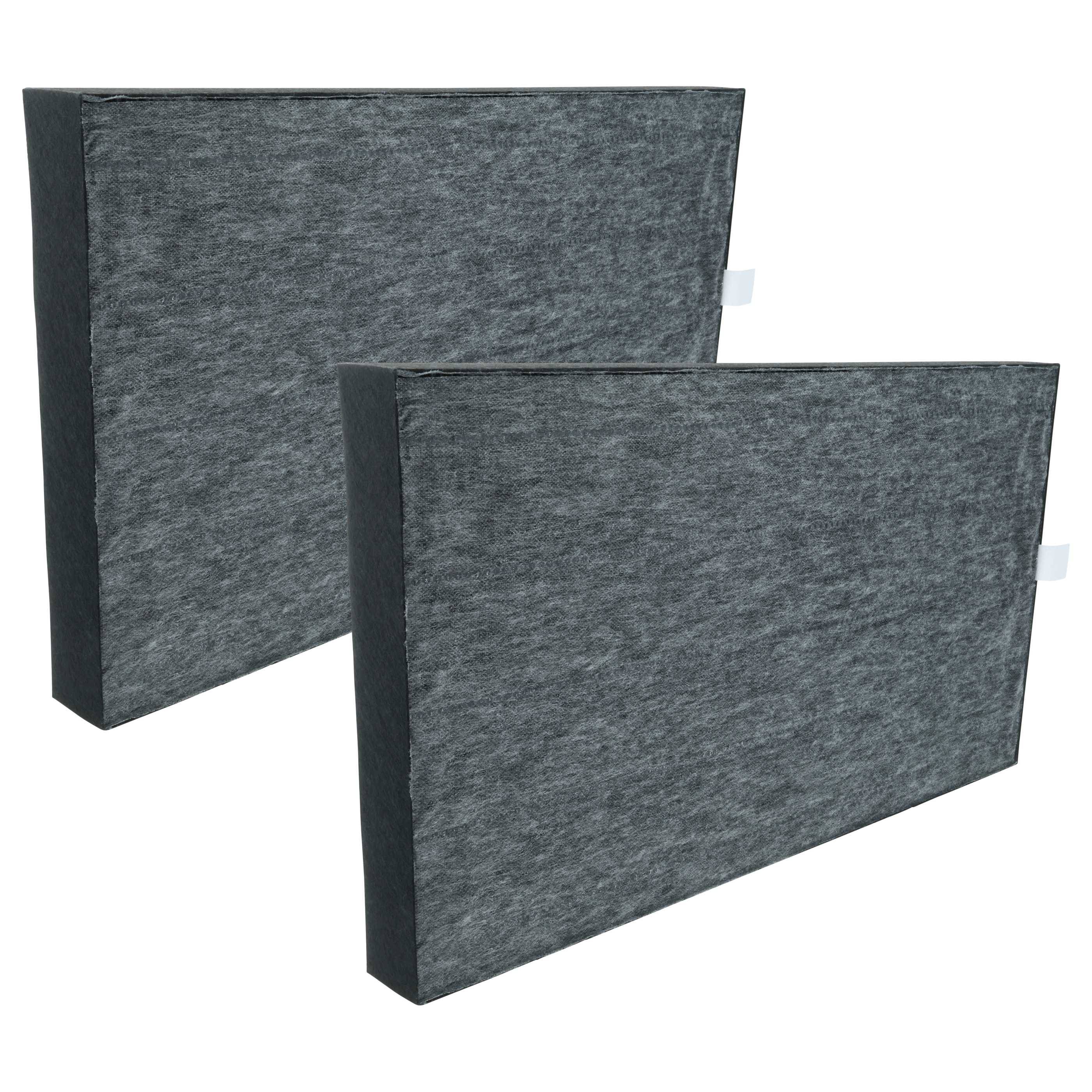 Zwei graue rechteckige Filter werden vor einem schlichten Hintergrund gezeigt, was ein Paar von Ersatzfiltern für Luftreiniger anzeigt.