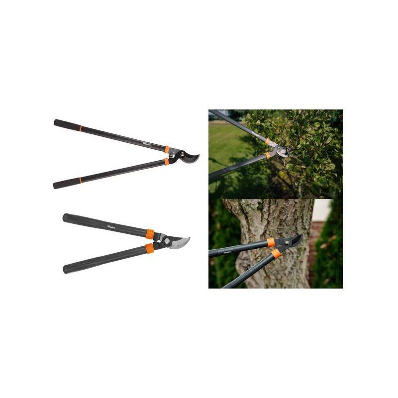 Astscheren mit orangefarbenen Akzenten, die Äste von einem Baum und Strauch schneiden, mit Vorher-Nachher-Vergleich der geschnittenen Äste.