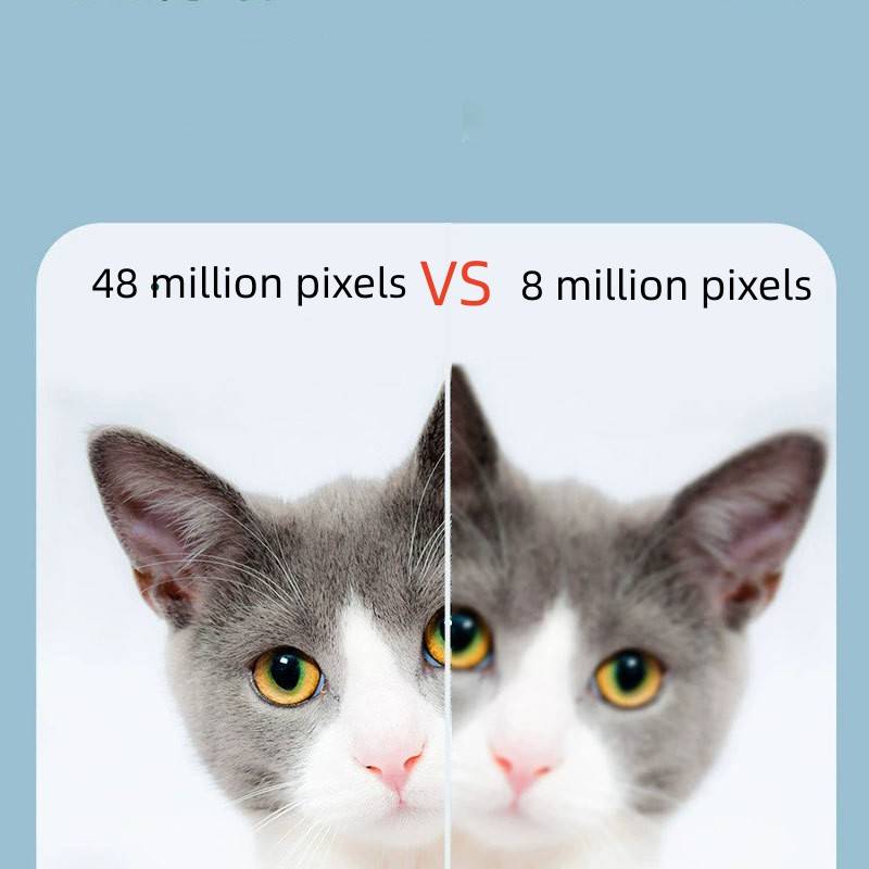 Nebeneinanderstellung eines Katzenbildes, das auf der linken Seite „48 Millionen Pixel