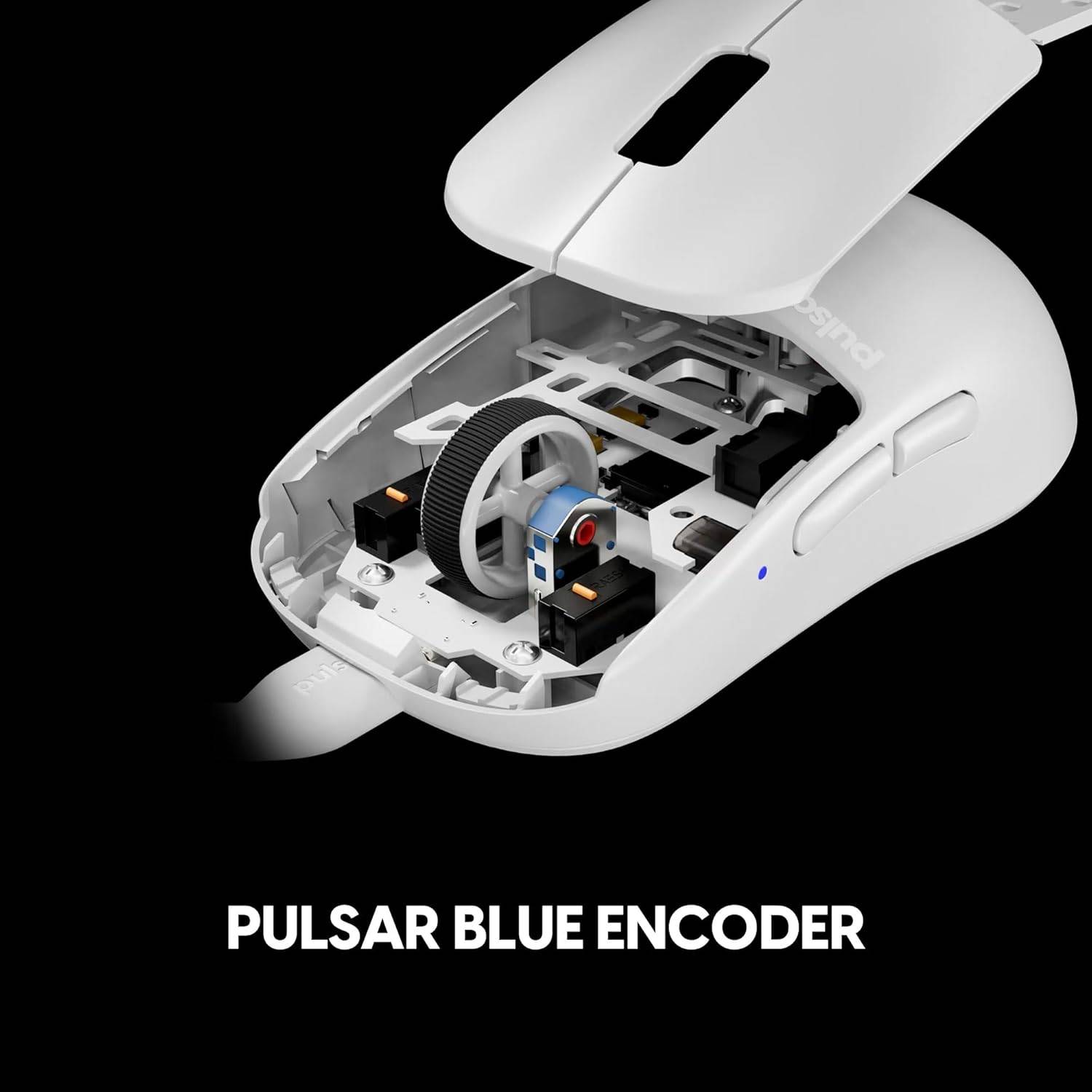 „Pulsar Blue Encoder