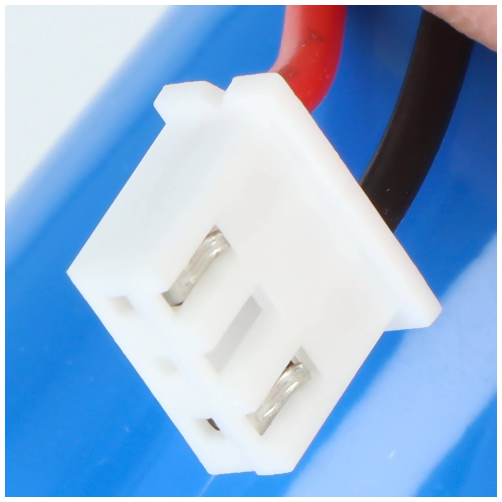 Nahaufnahme eines zweipoligen weißen Steckverbinders mit roten und schwarzen Drähten vor blauem Hintergrund.