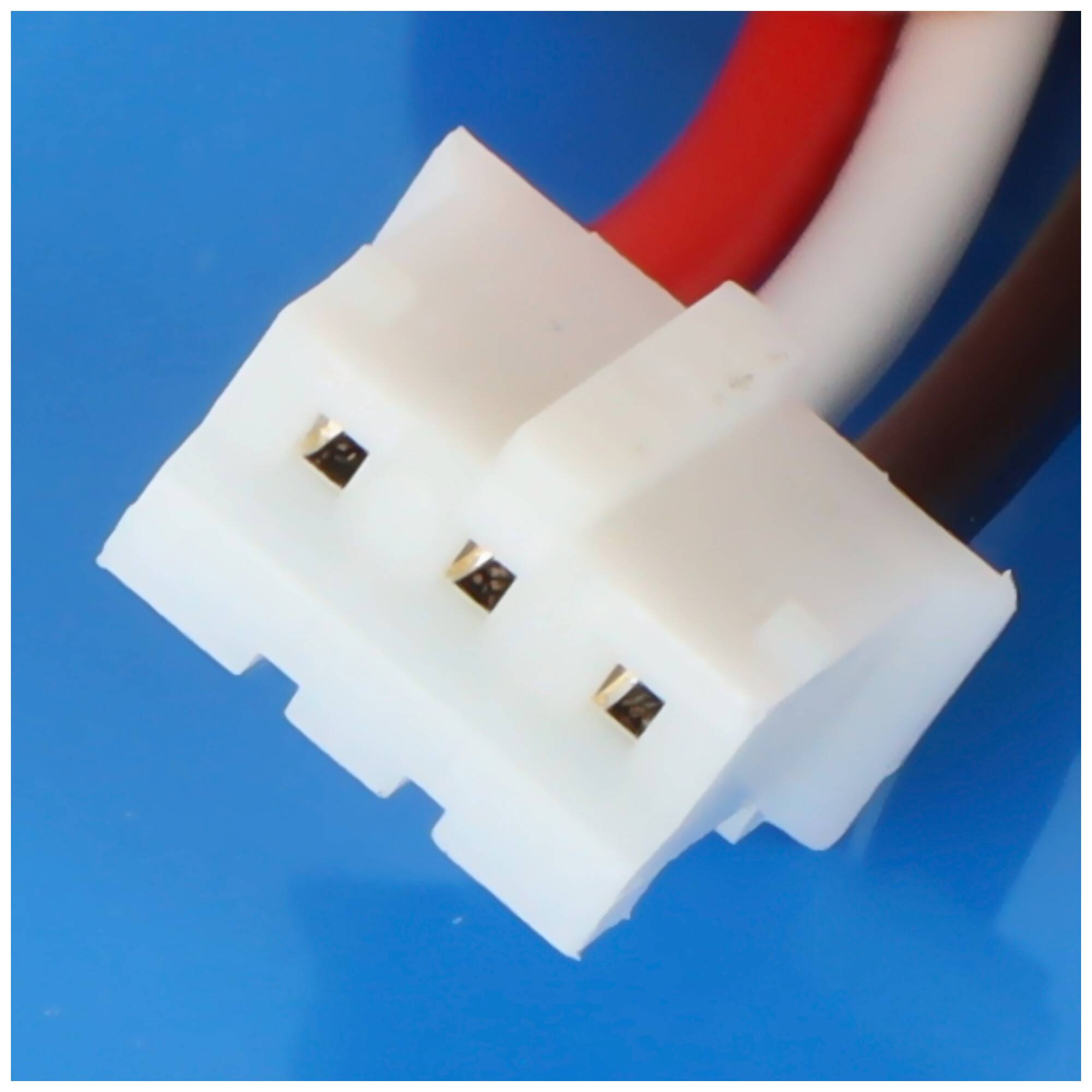 Eine Nahaufnahme eines dreipoligen Elektrosteckers mit weißen, roten und schwarzen Drähten vor blauem Hintergrund.