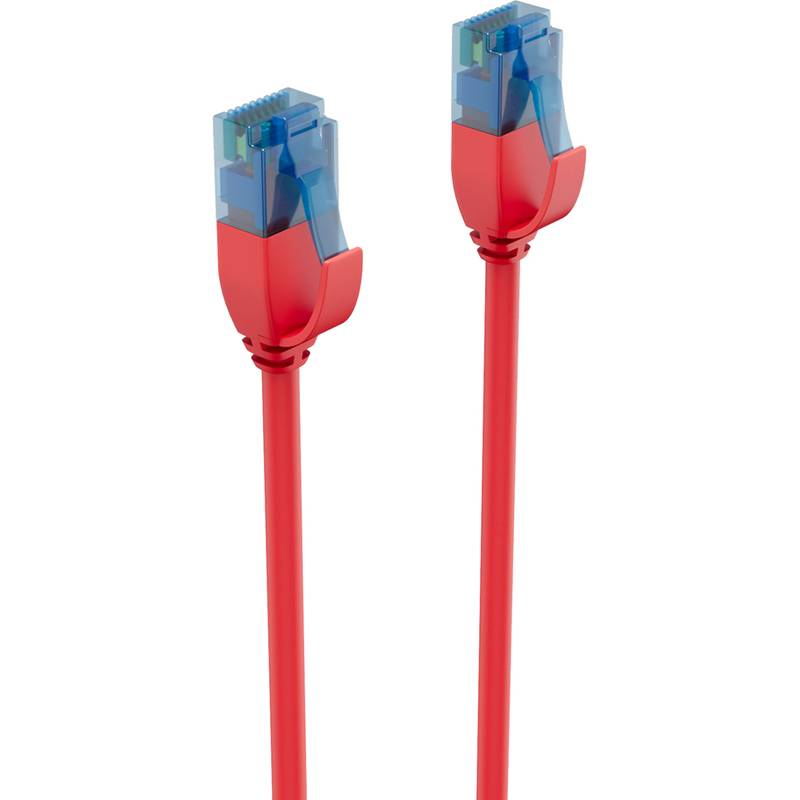 Zwei rote Ethernet-Kabel mit blauen Clipabdeckungen, aufrecht stehend, zeigen die Stecker.