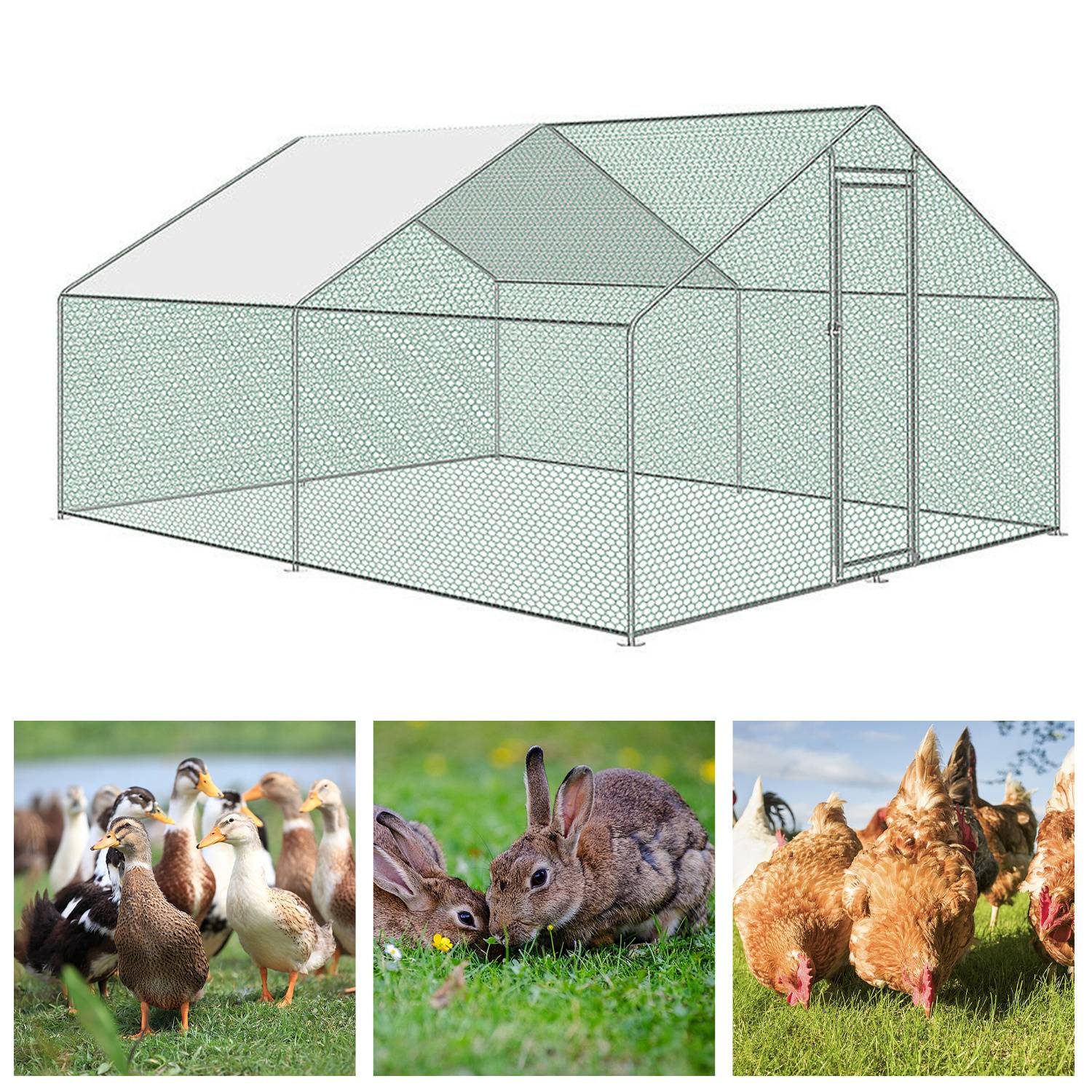 Ein großes Freigehege für Tiere mit Metallrahmen und Maschenwertwänden. Unten zeigen Bilder Enten, Kaninchen und Hühner auf Gras.