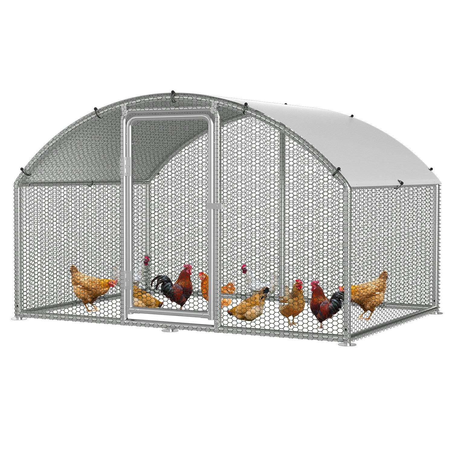 Ein Hühnerstall beherbergt mehrere Hühner im Inneren, umgeben von einem Metallrahmen mit einem gewölbten Dach und Maschendrahtseitenwänden.