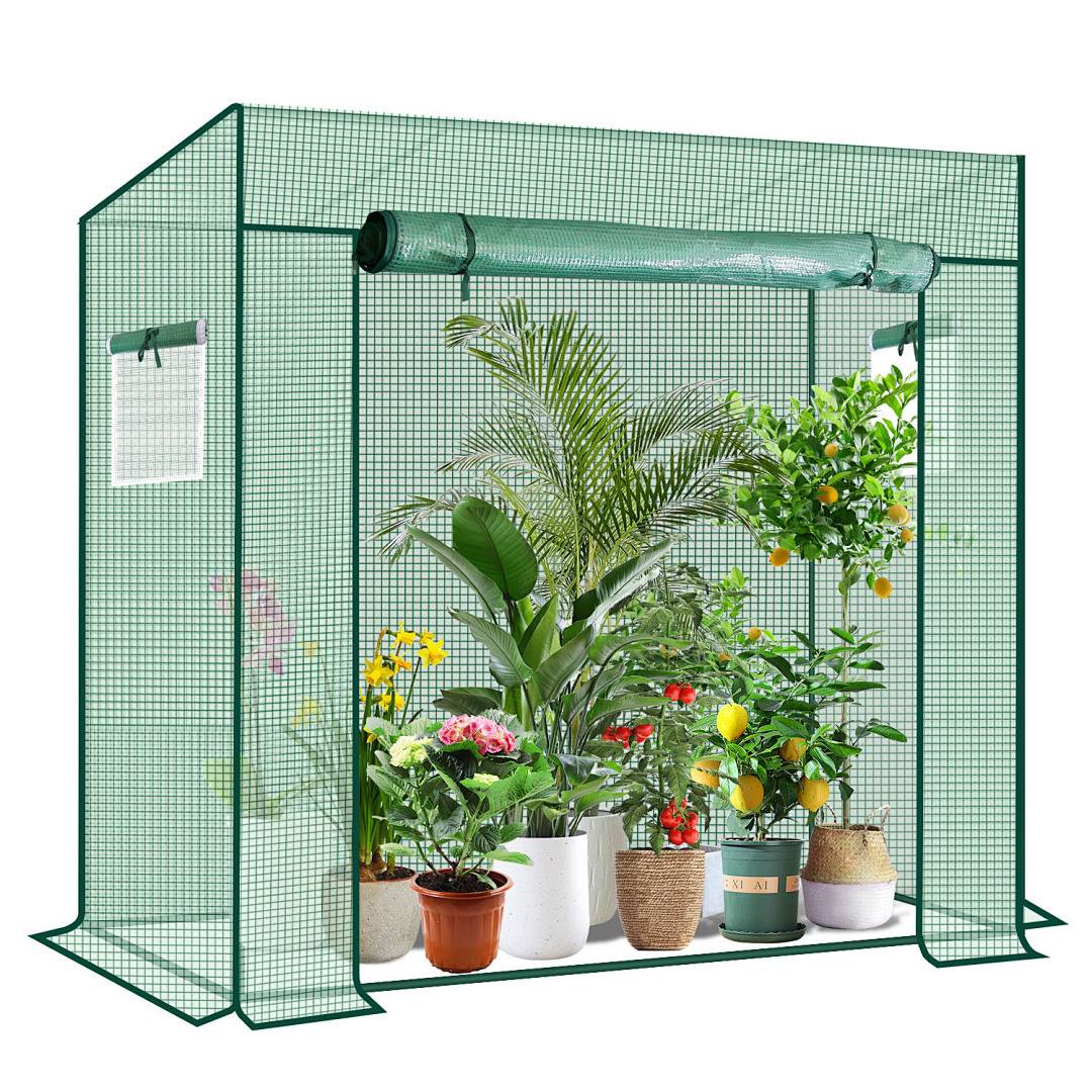 Ein grünes Maschengewächshaus zeigt eine Vielzahl von Topfpflanzen, darunter eine Palme, blühende Sträucher und ein kleiner Zitronenbaum, mit Sonnenlicht, das durchfiltert.