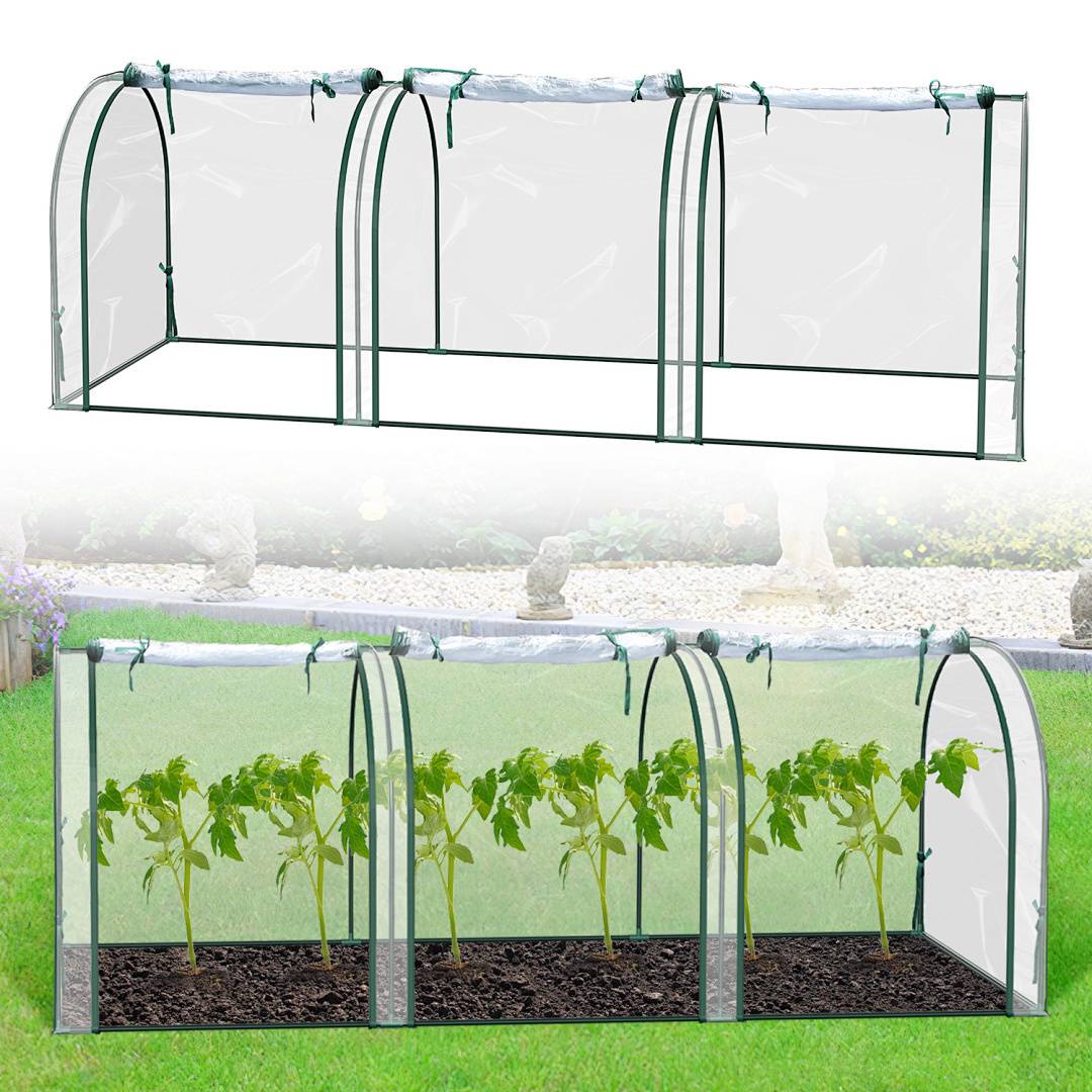 Ein grünes, rechteckiges Gewächshaustunnel auf Gras, mit transparenter Abdeckung und offenen Enden, in dem sich mehrere kleine grüne Pflanzen befinden.