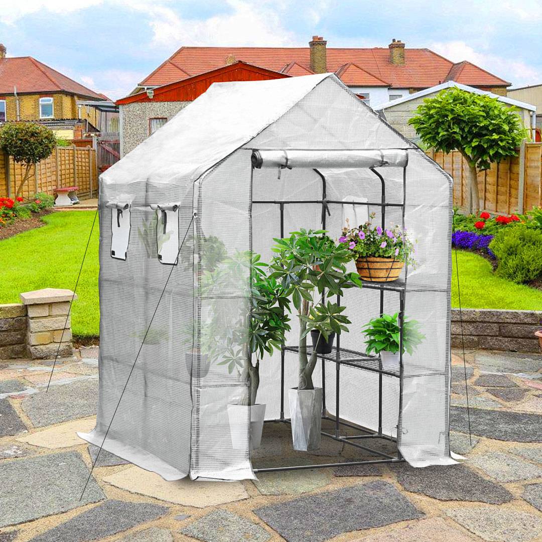 Ein kleines Gewächshaus in einem privaten Hinterhof mit Pflanzen, durchsichtiger Abdeckung und Regalen, umgeben von einem ordentlich angelegten Garten.