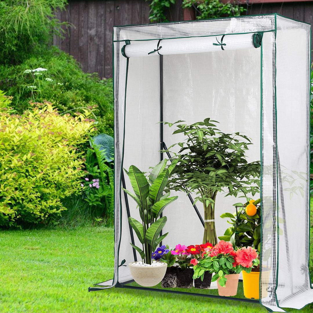 Ein kleines Gewächshaus mit verschiedenen Pflanzen im Inneren, einschließlich Blattgemüse und farbenfrohen Blumen, das sich in einem Hinterhof mit einem Holzzaun befindet.