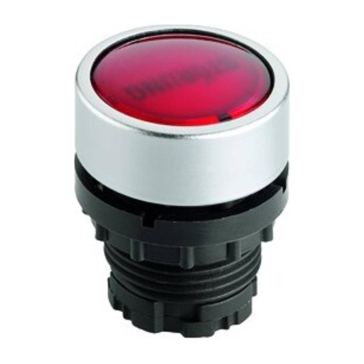 Georg Schlegel DXRNKCRT - 1 Stück