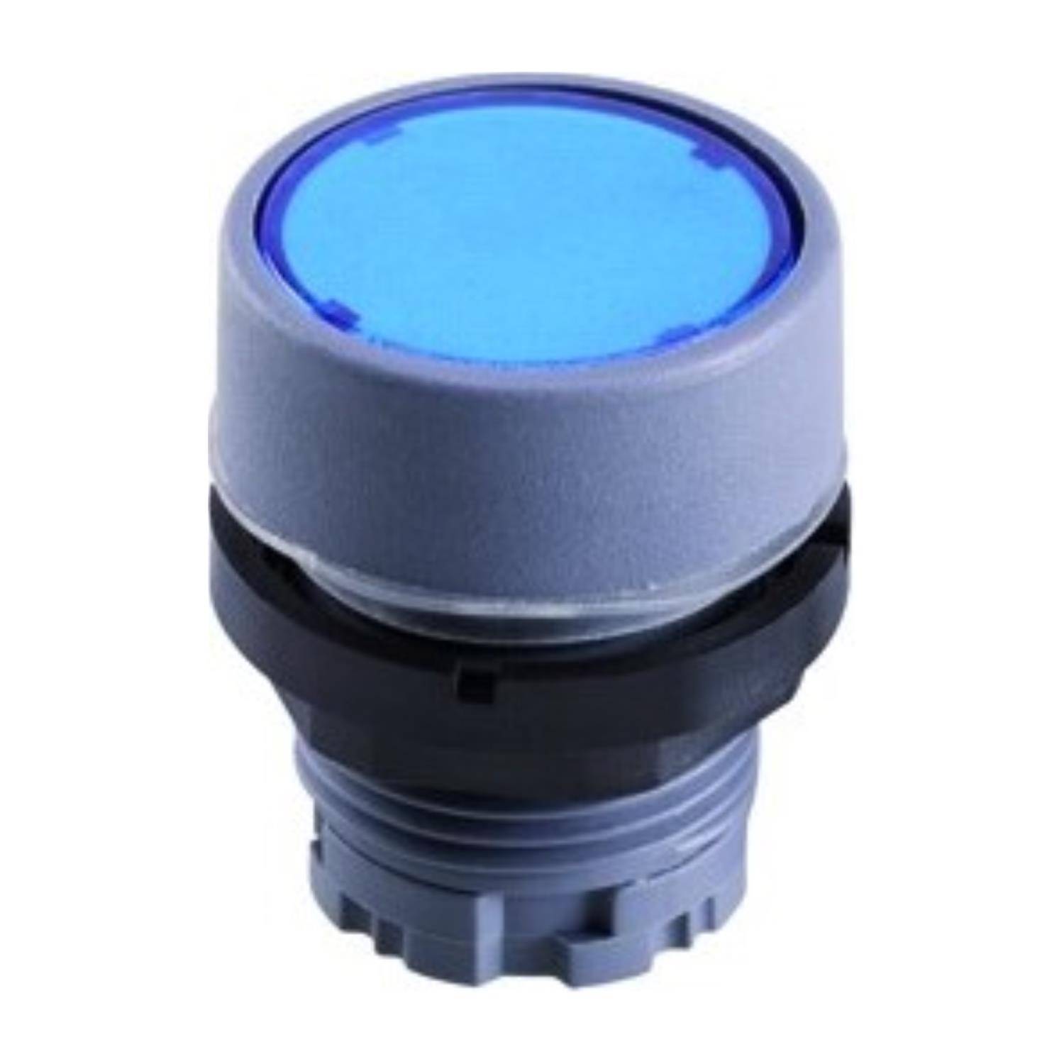 Georg Schlegel DXRNFGGN - 1 Stück