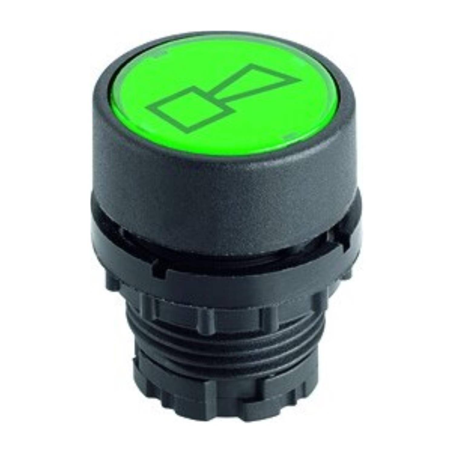 Georg Schlegel DXRTSRT - 1 Stück