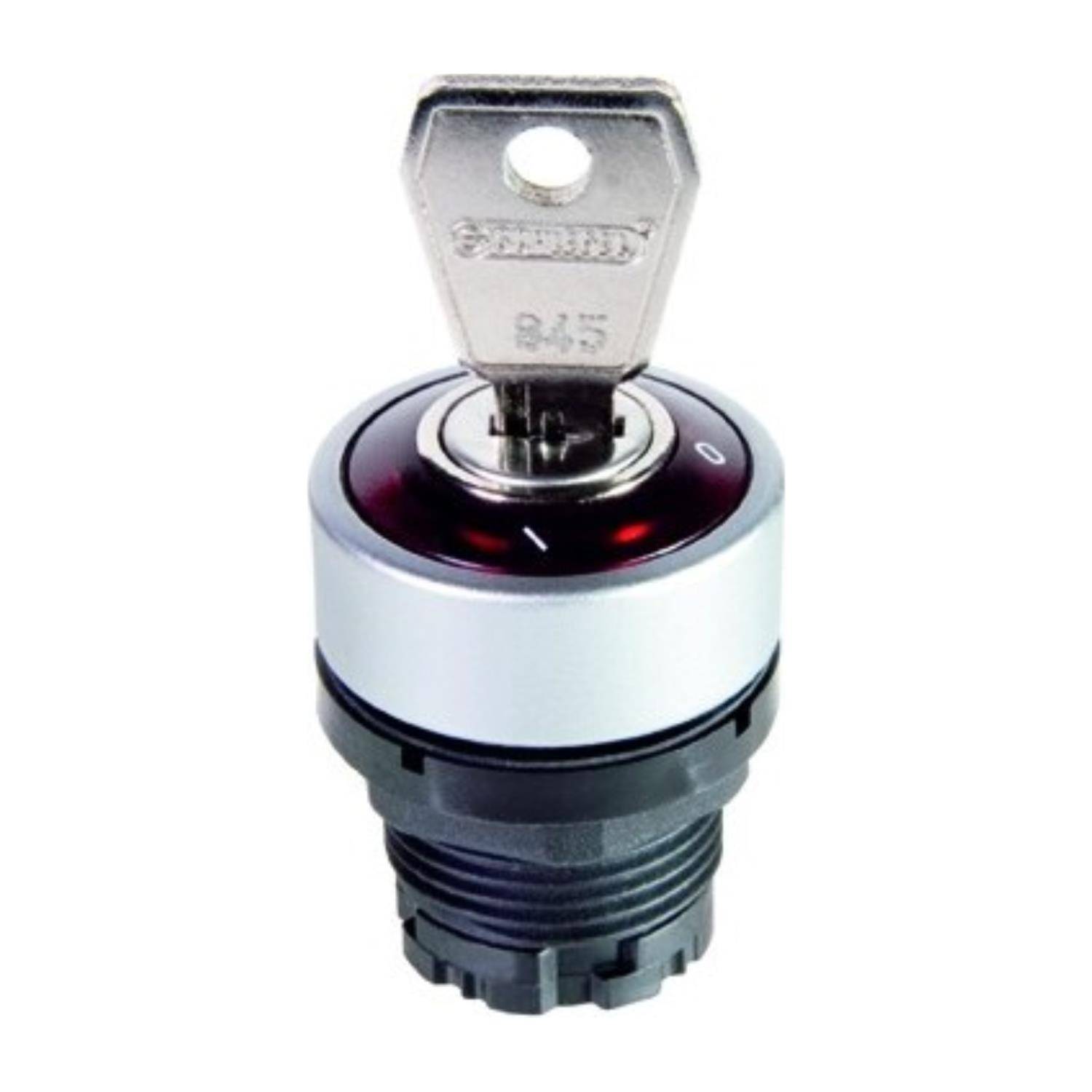 Georg Schlegel DXRSSALGGN18 - 1 Stück