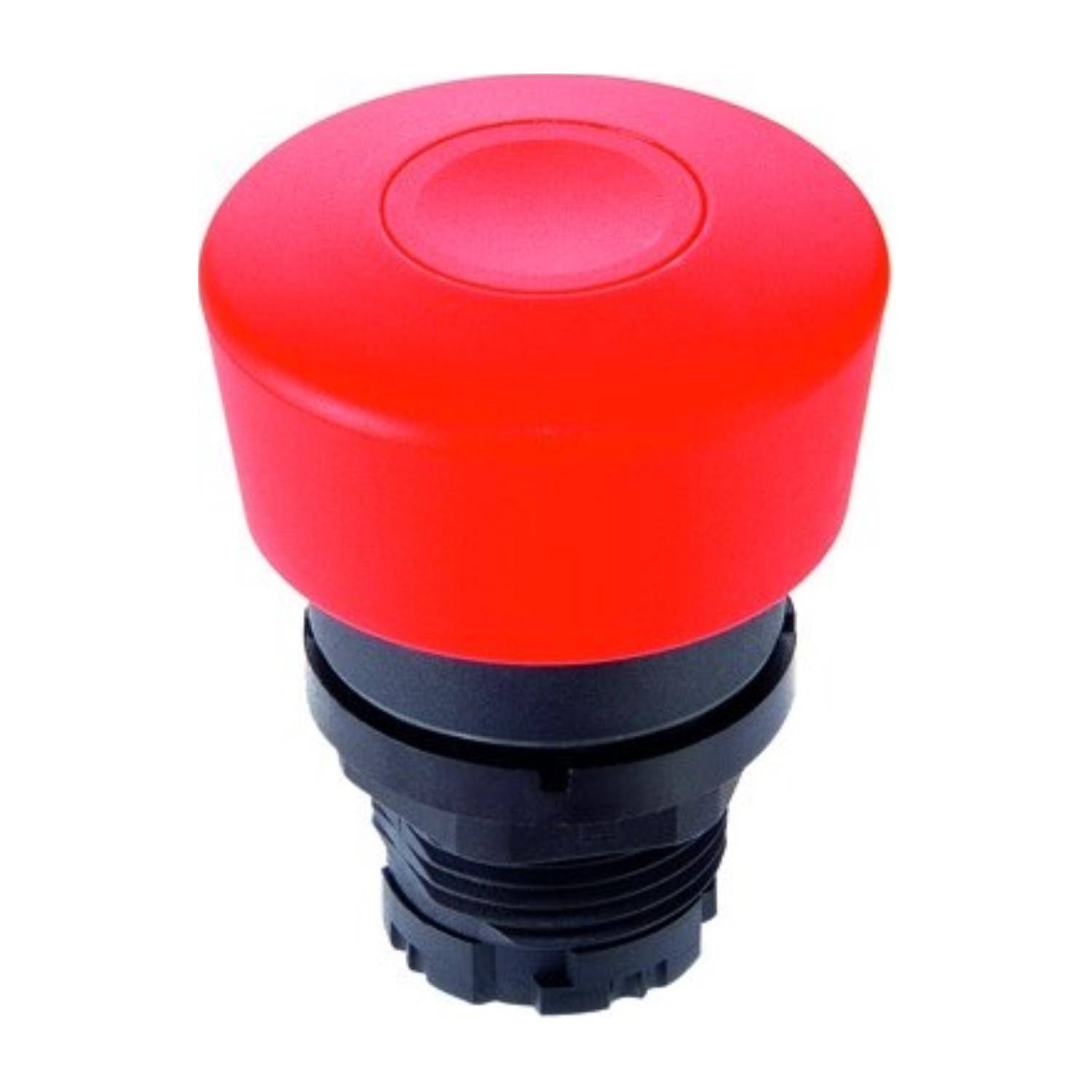 Georg Schlegel DXRS40GSW - 1 Stück