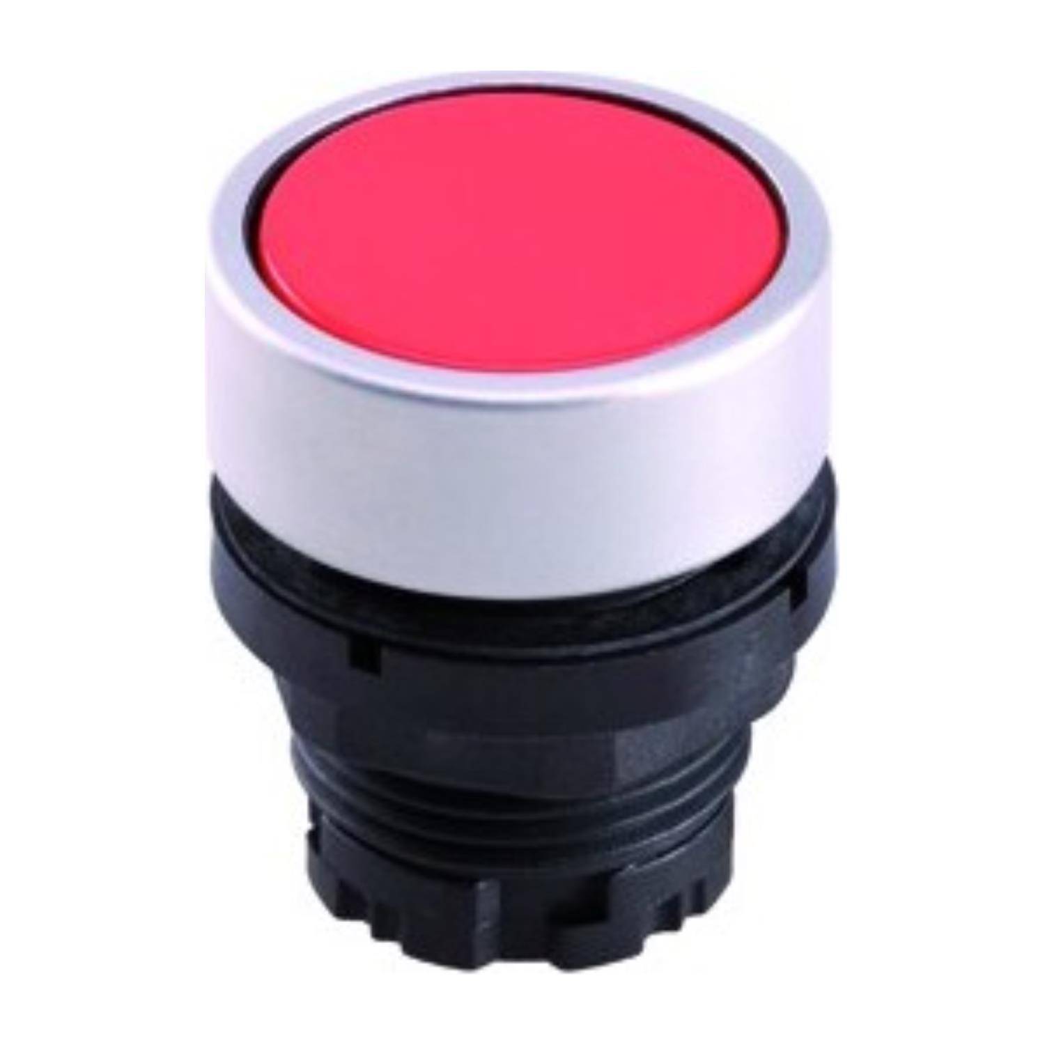 Georg Schlegel DXRTCGN - 1 Stück